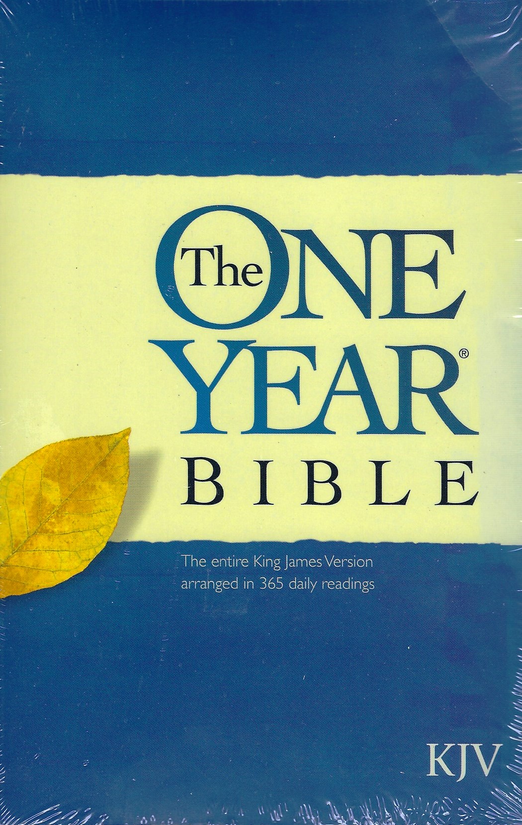 KJV ONE YEAR BIBLE Paperback